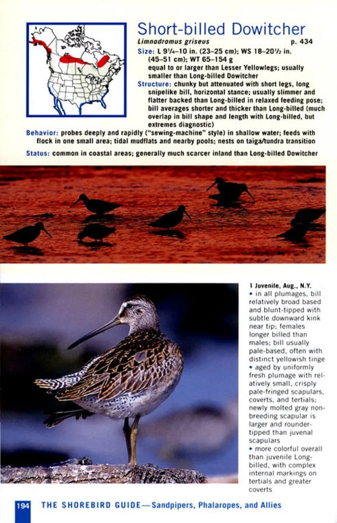 Shorebird Guide - GB versio - O’Brien,M. 2007